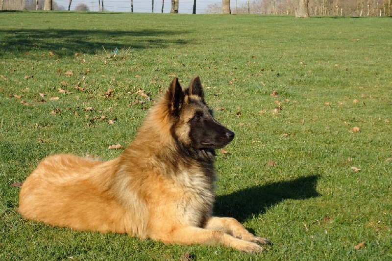 Fiona